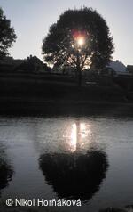 * Z DĚNÍ VE MĚSTĚ